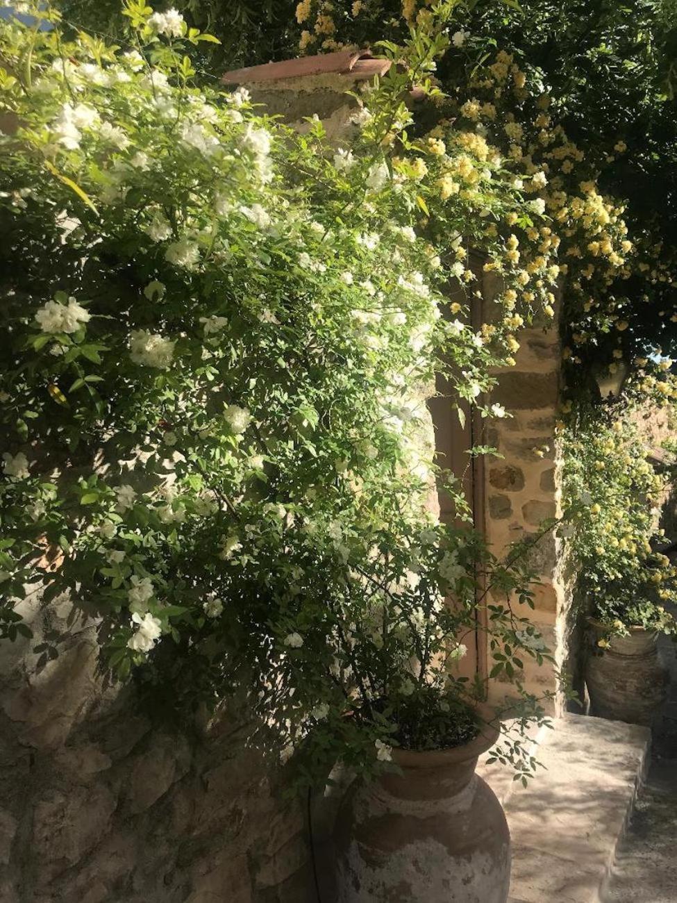 Les Vieux Murs Montfort  Exterior photo